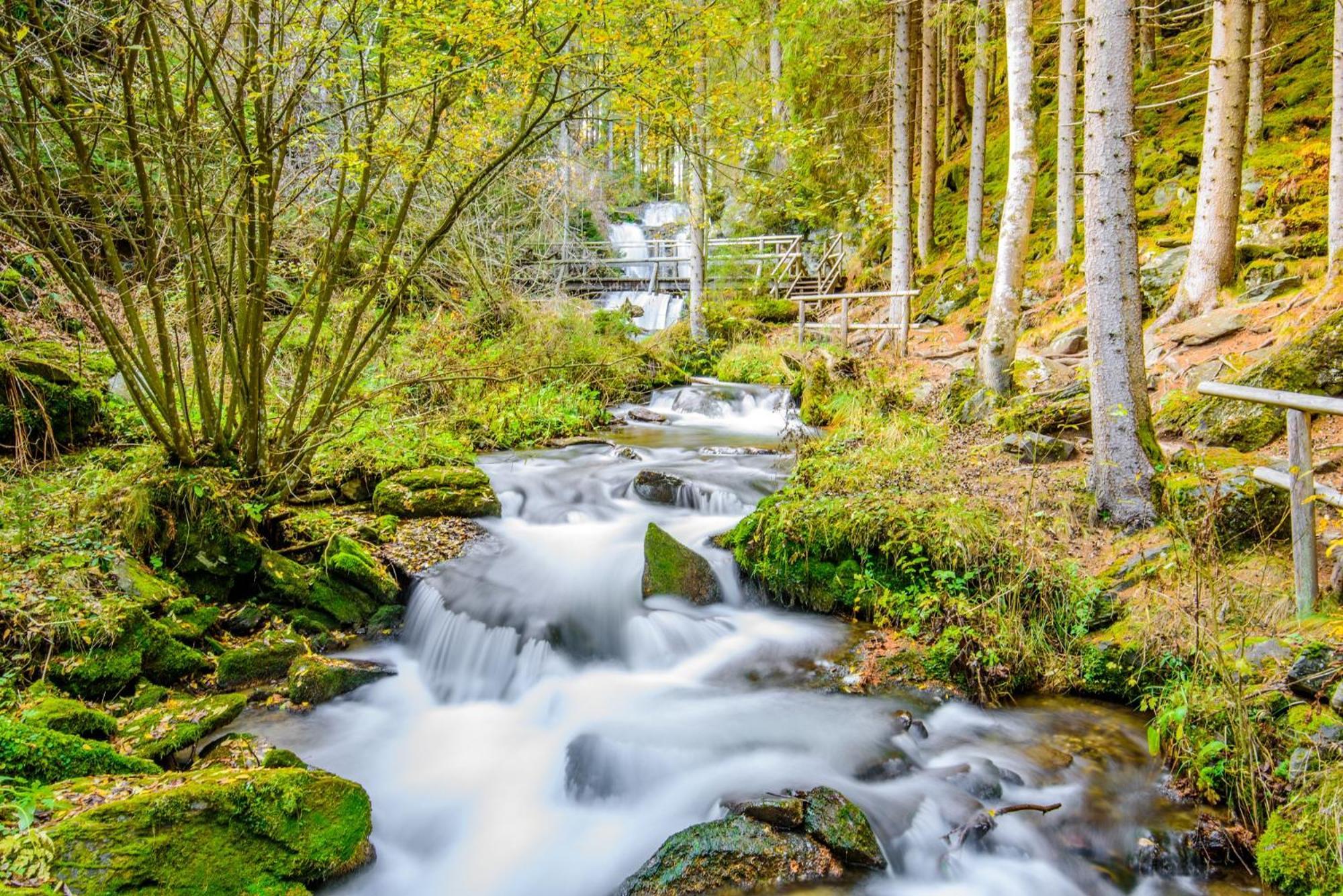 Ferienpark Kreischberg By Alps Resorts Санкт Лоренцен об Мурау Екстериор снимка